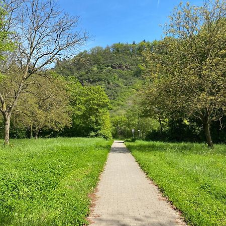 Ferienwohnung An Der Saar Konz Buitenkant foto