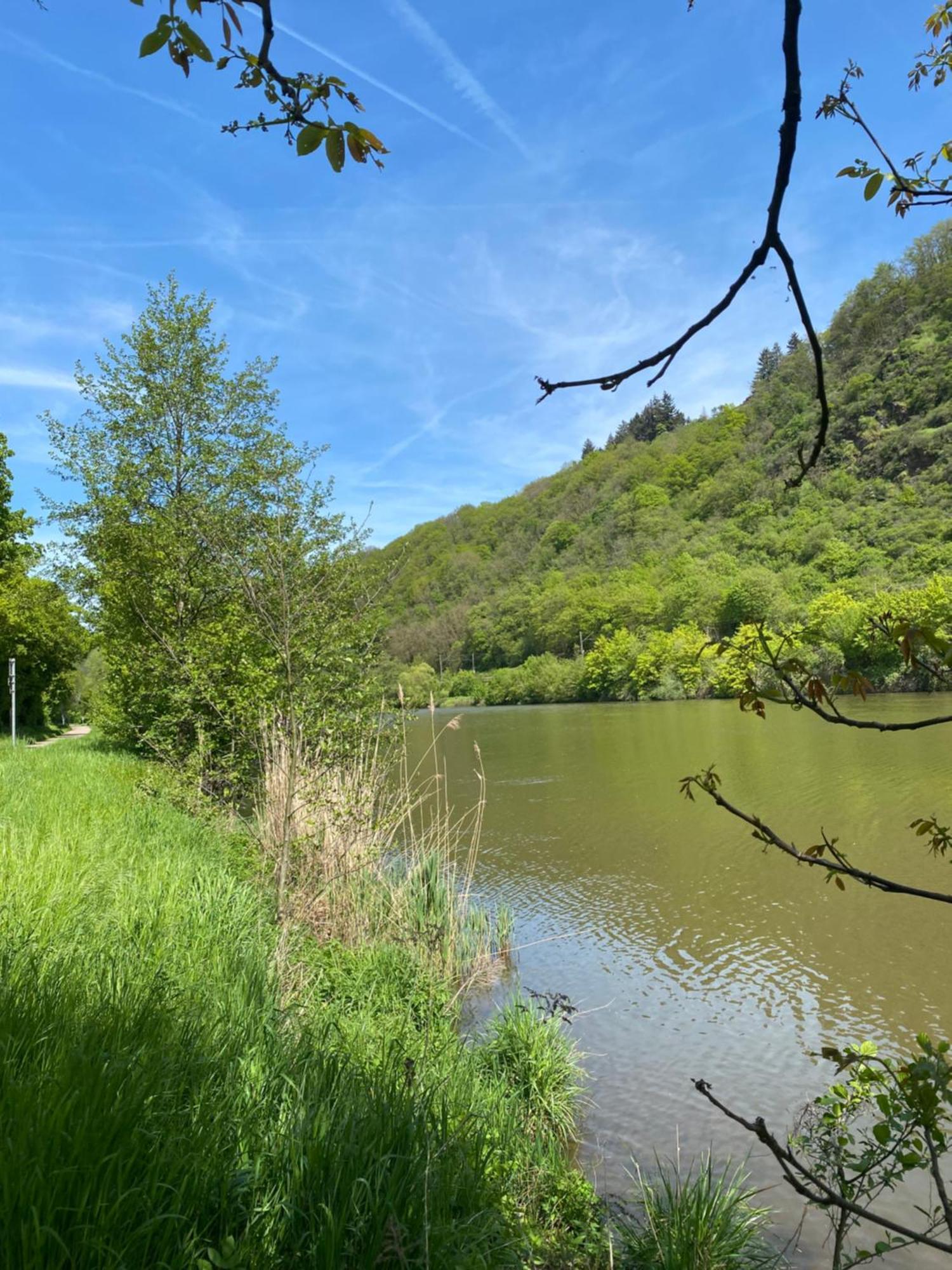 Ferienwohnung An Der Saar Konz Buitenkant foto