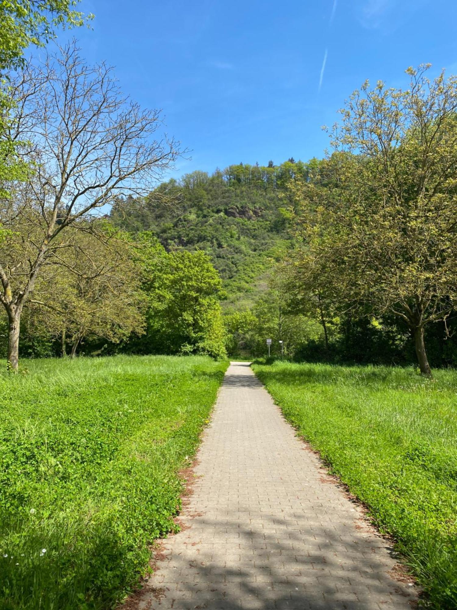 Ferienwohnung An Der Saar Konz Buitenkant foto